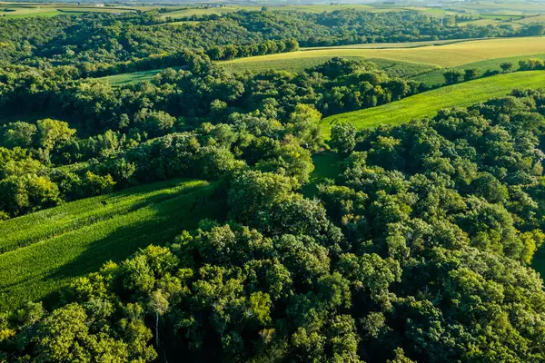 5292 Stenner Hill Rd, Marion, WI 53805