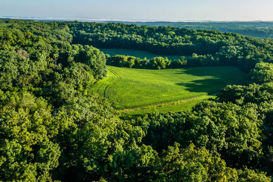 5292 Stenner Hill Rd, Boscobel, WI 53805 - #3