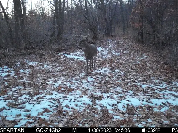0 County Rd Dd, Gale, WI 54627