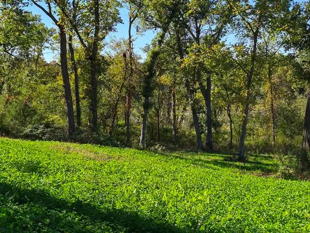Lt0 N Bryant Rd, Milton, WI 53563 - #2