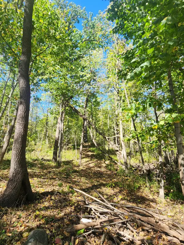 Lt0 312th Ave, Brighton, WI 53139