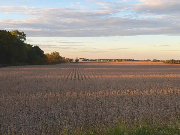 Lt1 Bray Rd, Lafayette, WI 53121
