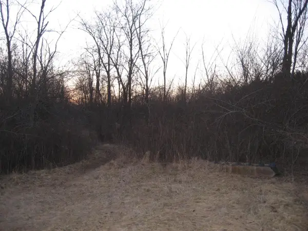 W250N7233 HILLSIDE ROAD, Lisbon, WI 53089