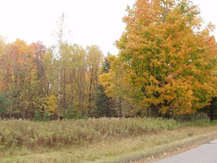 Lot 4 Margaret Lane, Park Falls, WI 54552 - #3