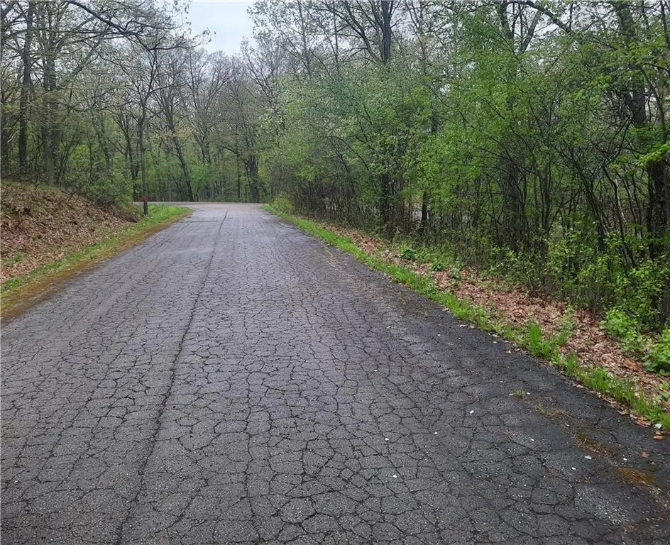 Lot 103 Rye Bluff Road, Black River Falls, WI 54615 - Image #1