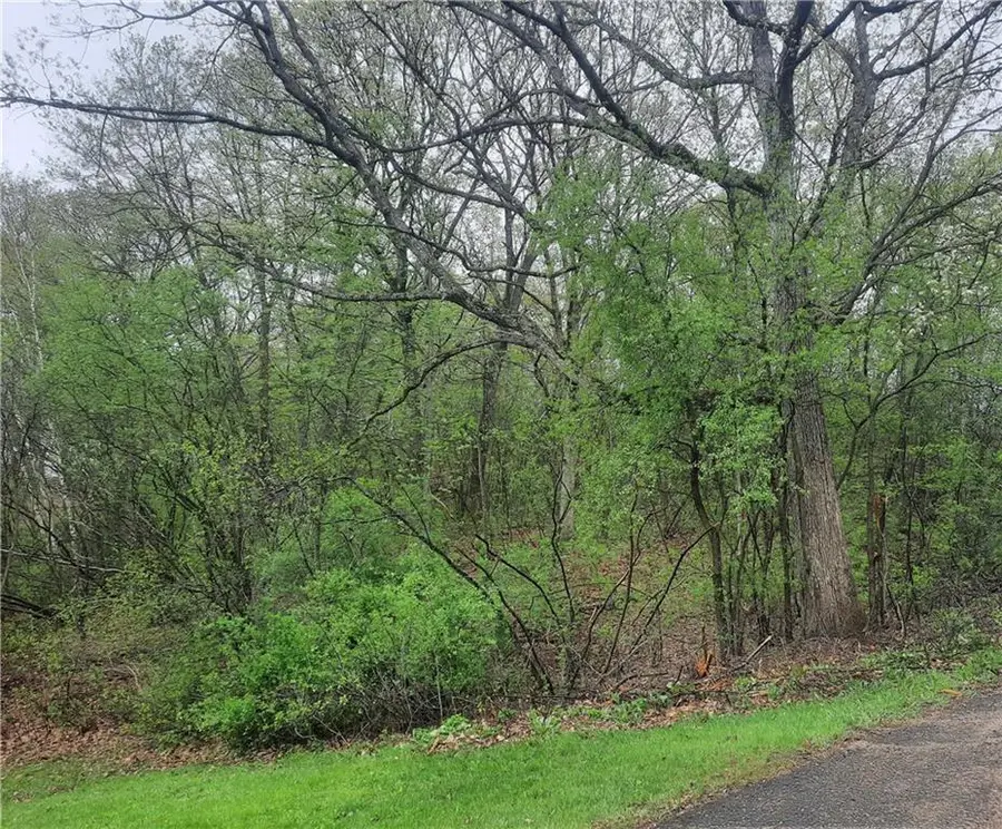 Lot 103 Rye Bluff Road, Black River Falls, WI 54615 - Image #3