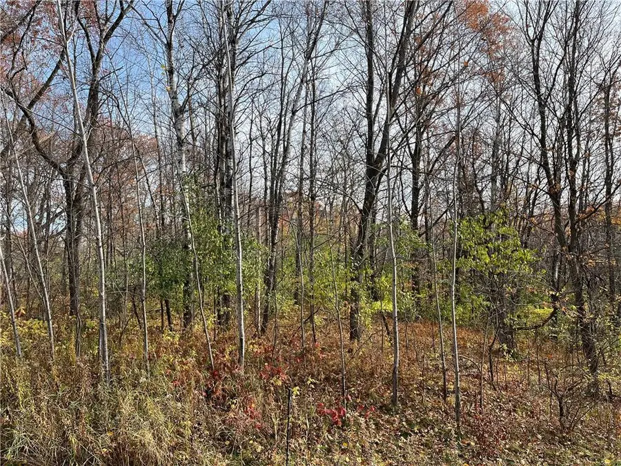 LOT 1 Wilderness Hills Lane, Luck, WI 54853 - Image #2