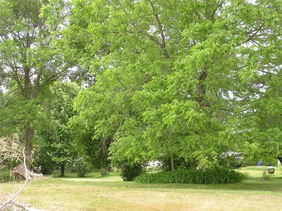 916 E 4th Street, Ladysmith, WI 54848 - Image #2