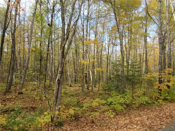 Lot 3 Scheers Road, Hayward, WI 54843