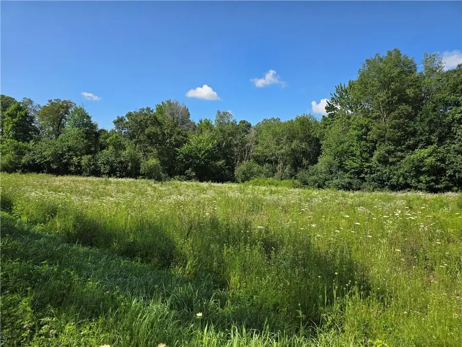 Lot 8 Hemlock Road, Eleva, WI 54738 - Image #2