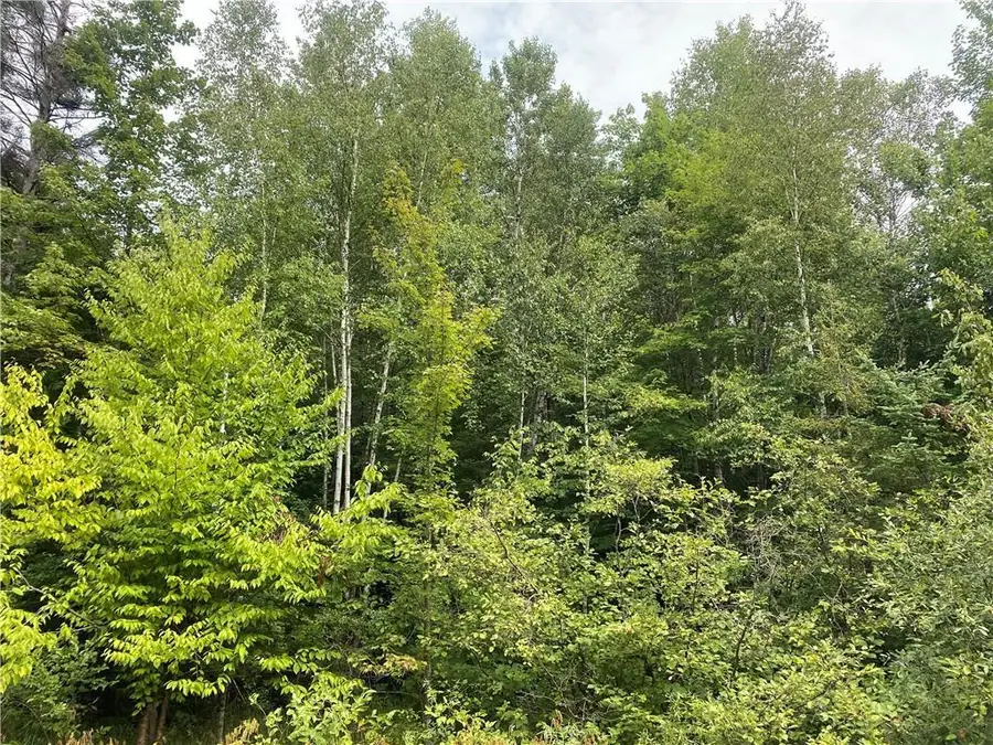 ON Maple Ridge Road, Park Falls, WI 54552 - Image #2