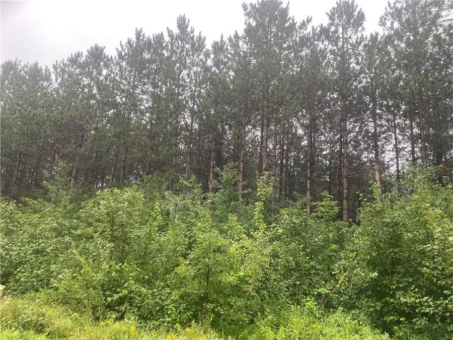 On Old 14 Road, Bruce, WI 54819 - Image #3