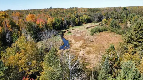 9729 W Moose Lake Road, Hayward, WI 54843