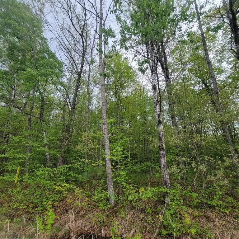 Lot 10 County Road A, Spooner, WI 54801 - #1