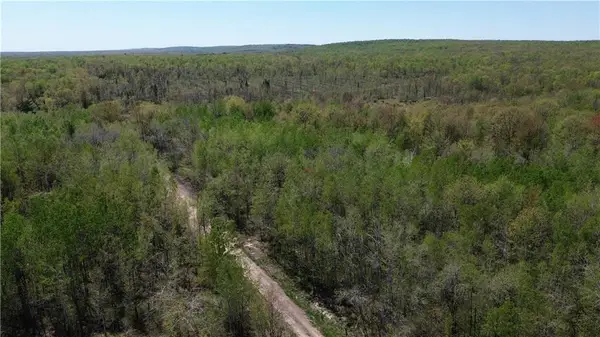 0000 County Road H, Bruce, WI 54819