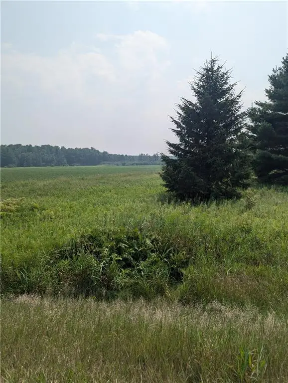 Lot 4 County Highway W, Holcombe, WI 54745