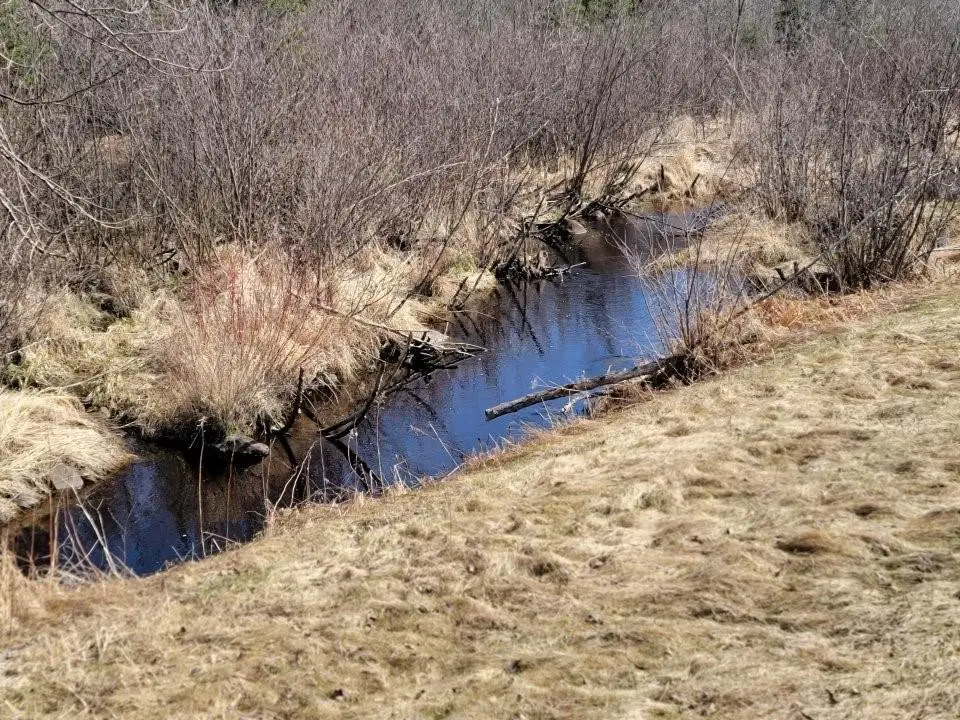 On Luds Lane, Loretta, WI 54896 - Image #1