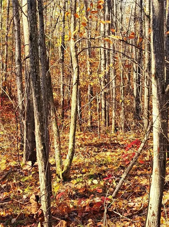 tbd Highway 77, Minong, WI 54859 - Image #2