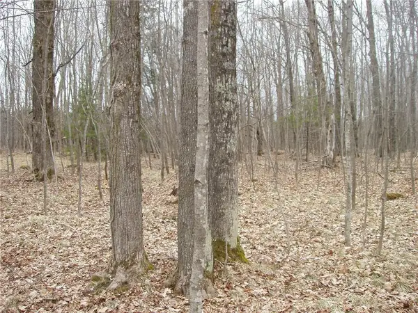 Lot 1 4th Add. Margaret Lane, Park Falls, WI 54552