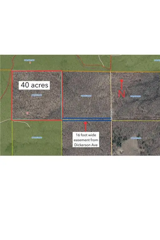 40 Acres Dickerson Avenue, Thorp, WI 54771 - Image #2
