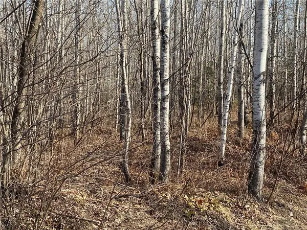 Near Bass Lake Road, Park Falls, WI 54552