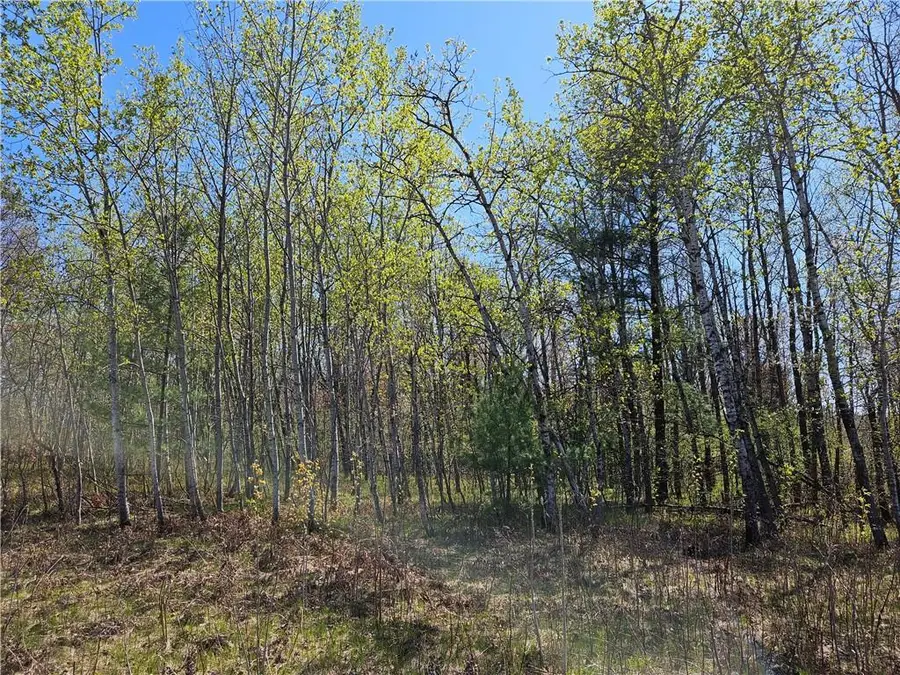 Address Withheld By Seller, Rice Lake, WI 54868 - Image #3