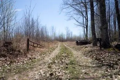 XXX E Beauregard Lake Road, Gordon, WI 54838 - Image #1