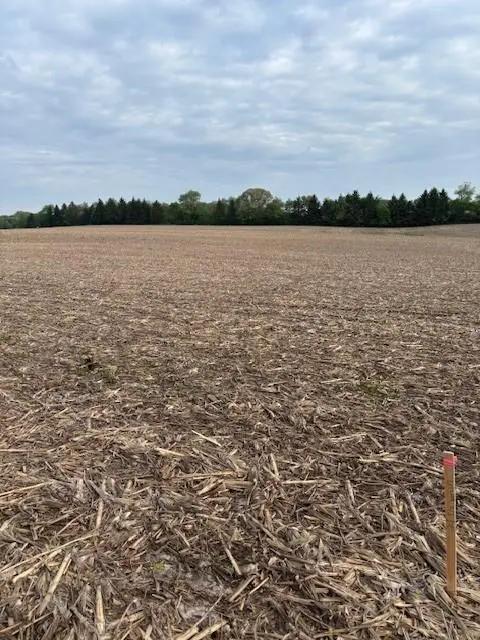 Lot 3 Roma Street, Eau Claire, WI 54701 - Image #2