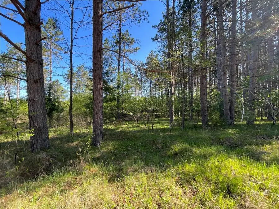 Lot 3 Elaine Drive, Hayward, WI 54843 - Image #3