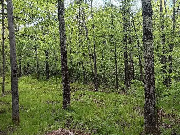 N10095 WOODLAND LANE, Phillips, WI 54555