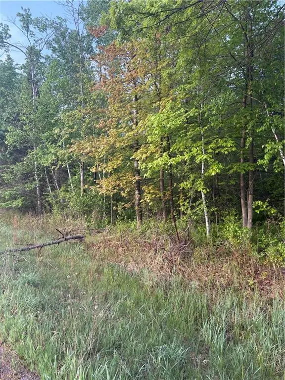 0 Highway 12, Merrillan, WI 54754 - Image #3