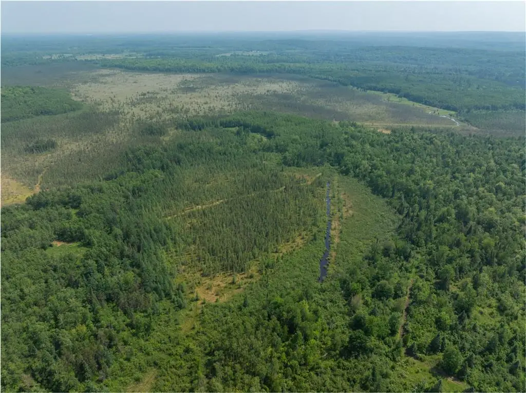 486.02 Acres Cemetery Road, Radisson, WI 54867 - Image #1