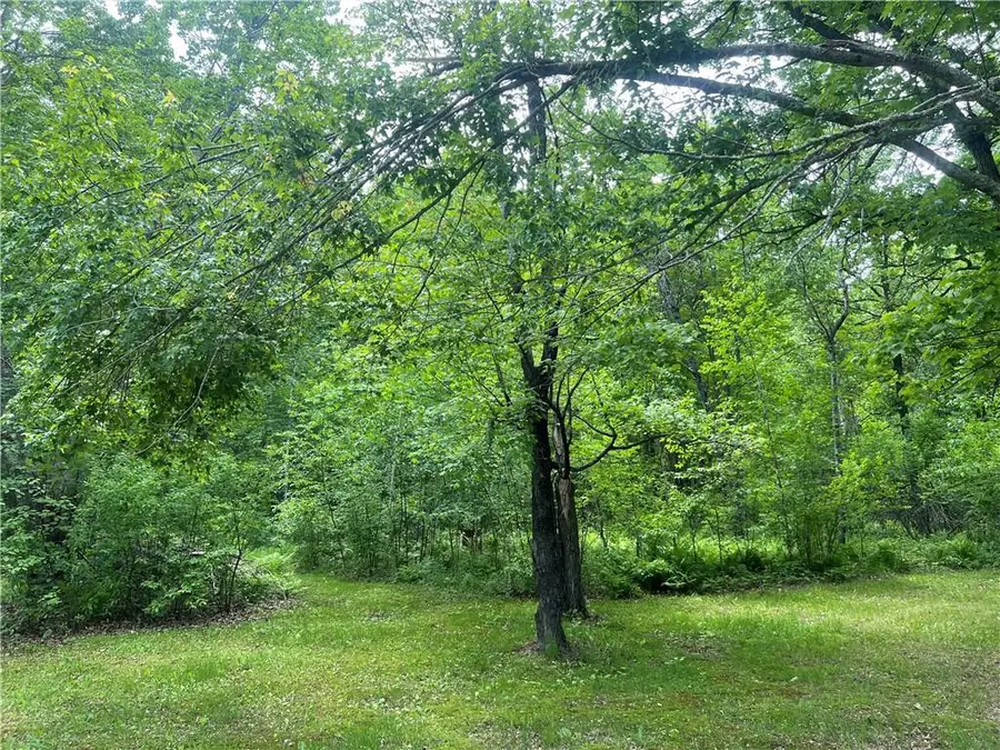 7968 County Road F, Danbury, WI 54830 - Image #3