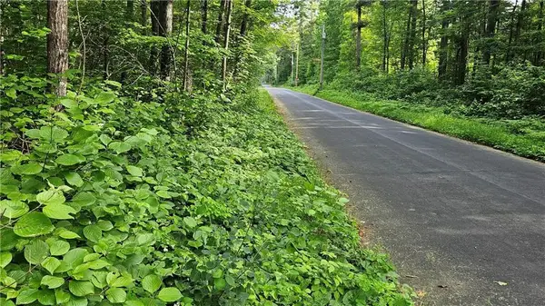 Lots 13-20, 23-28 Woodland Avenue, Hayward, WI 54843