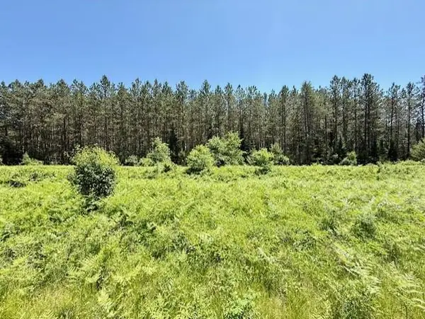 Lot 72 Phipps Road, Hayward, WI 54843