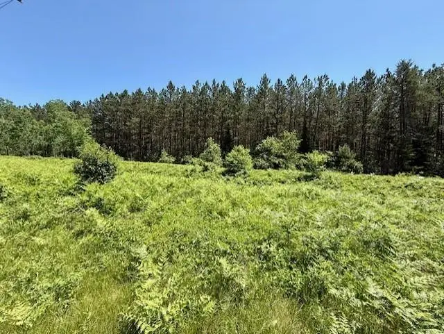 Lot 72 Phipps Road, Hayward, WI 54843 - Image #2