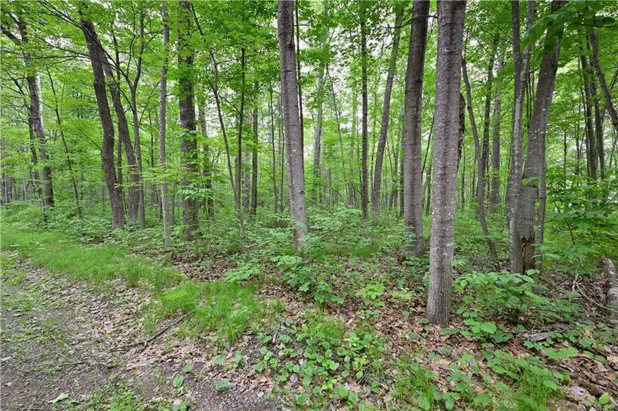 Lot 2 Chippewa Avenue, Hayward, WI 54843 - Image #2