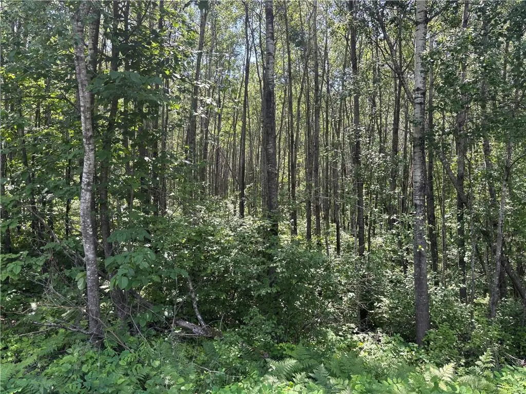 Lot 1 W Nelson Lake Road, Hayward, WI 54843 - Image #1