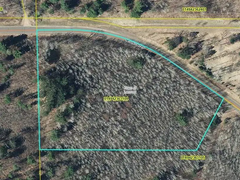 Lot 1 W Nelson Lake Road, Hayward, WI 54843 - Image #3