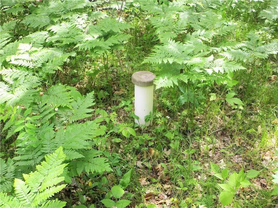 Lot 111 & 112 Bridle Road, Webster, WI 54893 - Image #2