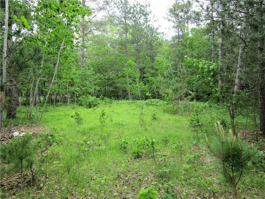 Lot 111 & 112 Bridle Road, Webster, WI 54893 - Image #3