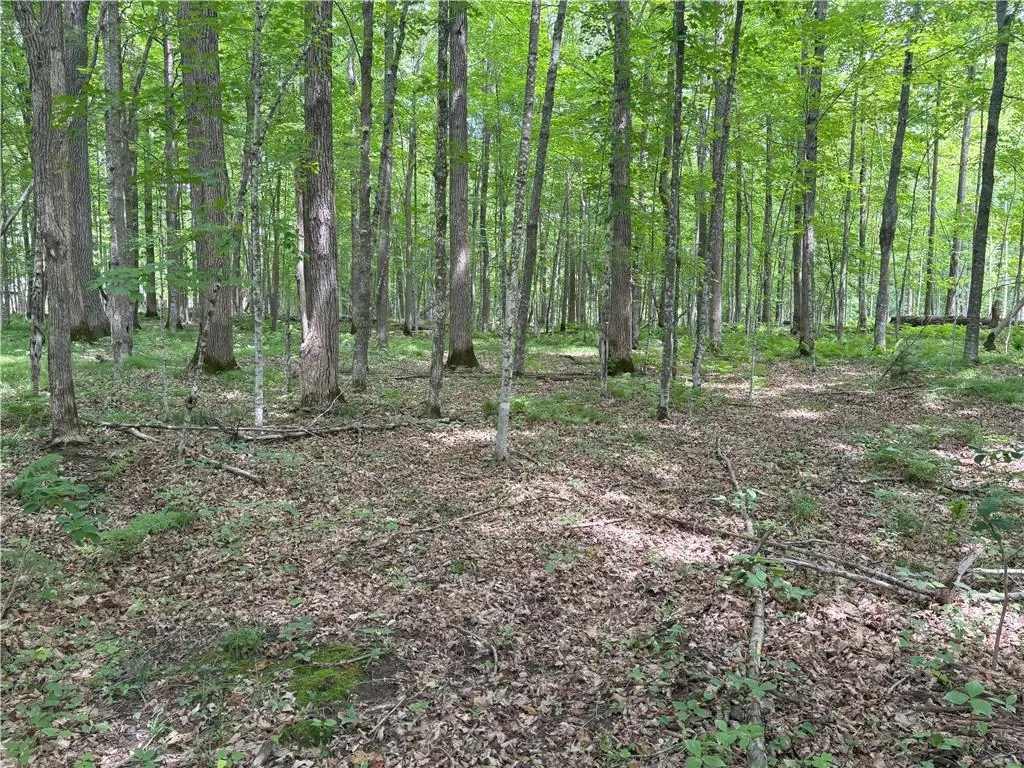 0 28 7/16-28 9/16 Street, Birchwood, WI 54817 - Image #1