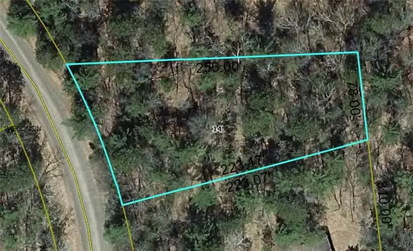 Lot 91 Three Mile Road, Danbury, WI 54830