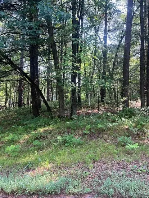 Lot 91 Three Mile Road, Danbury, WI 54830 - #3