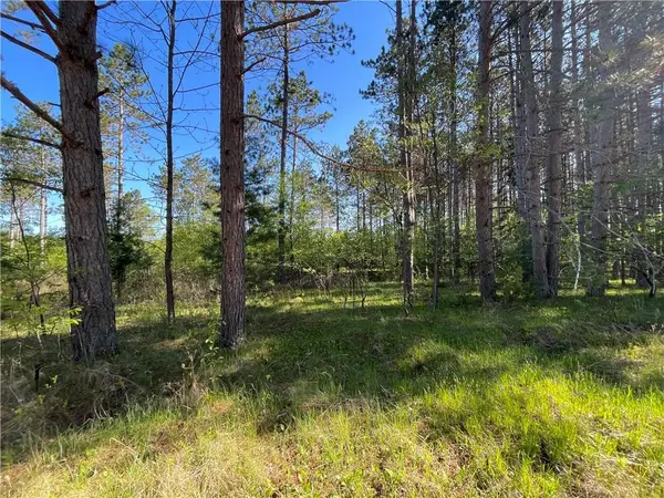 Lot 6 Hermosa Lane, Hayward, WI 54843