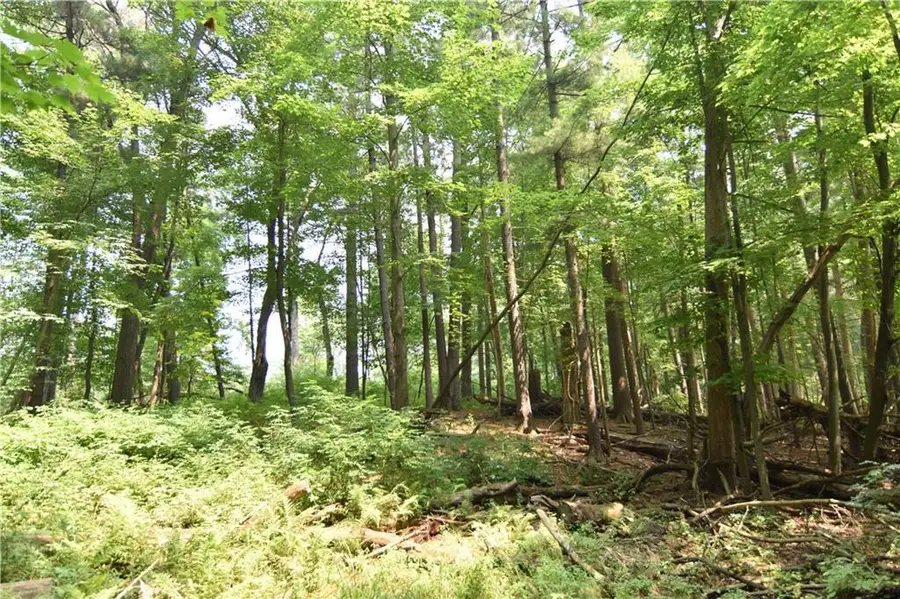 0 24 3/4 Street, Chetek, WI 54728 - Image #3