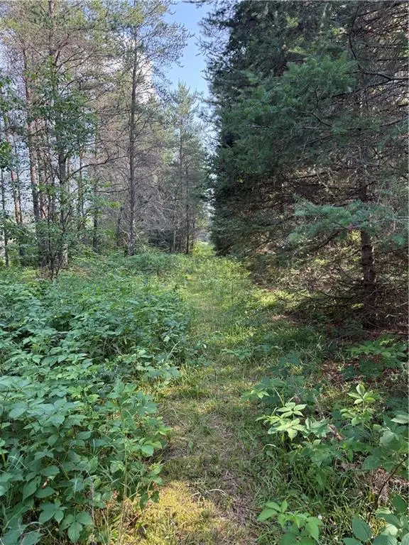 0 Tagalder Trail, Hayward, WI 54843 - Image #1