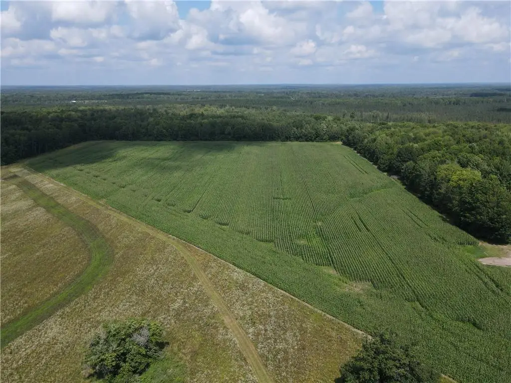 TBD Schalk Road, Ogema, WI 54459 - #1