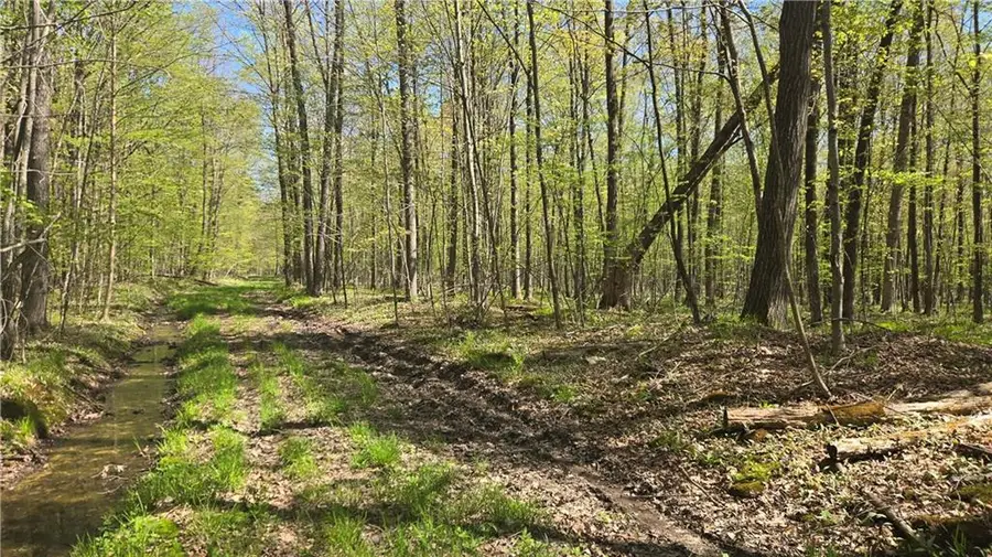 N 900 Joes Road, Conrath, WI 54731 - Image #3