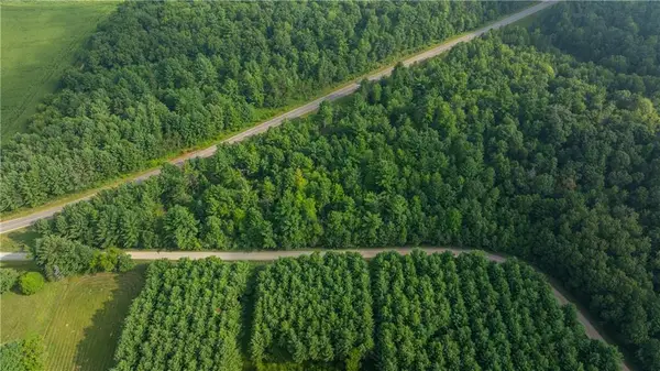 +/- 13 Acres County B / Monthei Rd., Fairchild, WI 54741